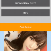 Bottom Sheet Android state Expanded